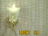 LIGHT-EA.jpg (65472 bytes)